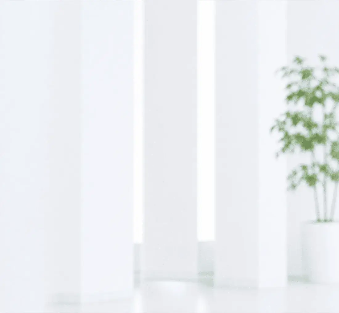 明るい事務所の室内と観葉植物